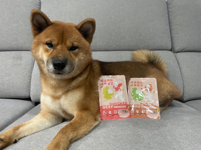 試用